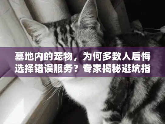 墓地内的宠物,为何多数人后悔选择错误服务?专家揭秘避坑指南 墓地内的宠物,为何多数人后悔选择错误服务?专家揭秘避坑指南