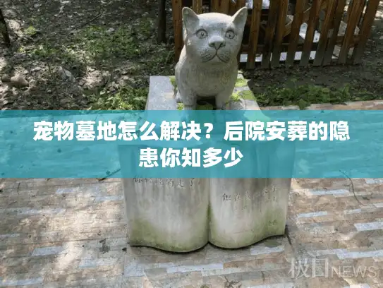 宠物墓地怎么解决？后院安葬的隐患你知多少