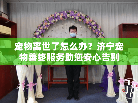 宠物离世了怎么办？济宁宠物善终服务助您安心告别