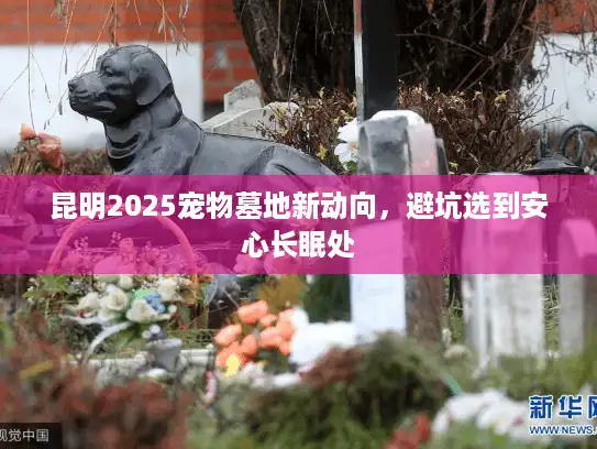 昆明2025宠物墓地新动向，避坑选到安心长眠处