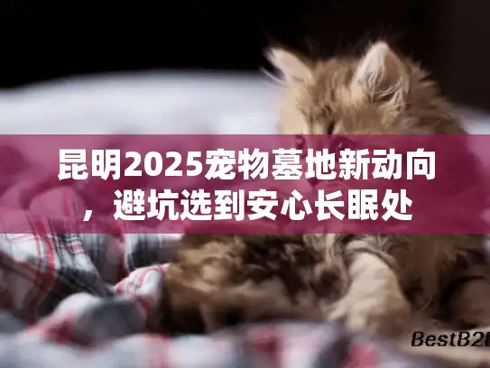 昆明2025宠物墓地新动向，避坑选到安心长眠处