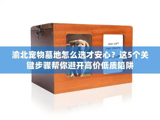 渝北宠物墓地怎么选才安心？这5个关键步骤帮你避开高价低质陷阱