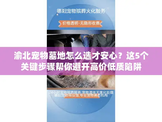 渝北宠物墓地怎么选才安心？这5个关键步骤帮你避开高价低质陷阱