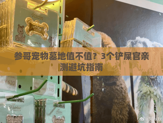 参哥宠物墓地值不值？3个铲屎官亲测避坑指南