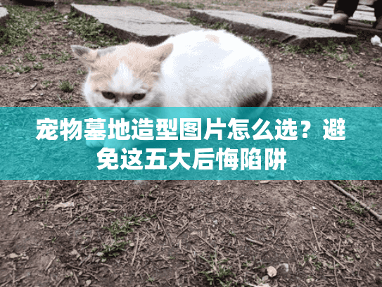 宠物墓地造型图片怎么选？避免这五大后悔陷阱