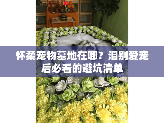 怀柔宠物墓地在哪？泪别爱宠后必看的避坑清单