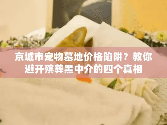 京城市宠物墓地价格陷阱？教你避开殡葬黑中介的四个真相