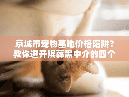 京城市宠物墓地价格陷阱？教你避开殡葬黑中介的四个真相