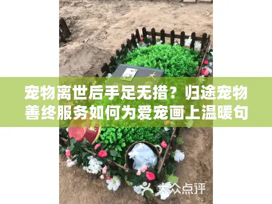 宠物离世后手足无措?归途宠物善终服务如何为爱宠画上温暖句点 宠物离世后手足无措?归途宠物善终服务如何为爱宠画上温暖句点