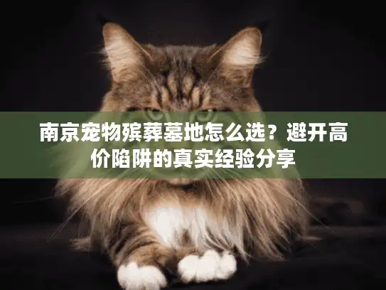 南京宠物殡葬墓地怎么选？避开高价陷阱的真实经验分享