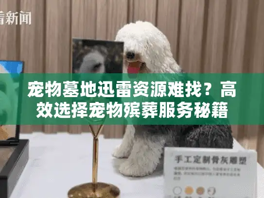 宠物墓地迅雷资源难找？高效选择宠物殡葬服务秘籍