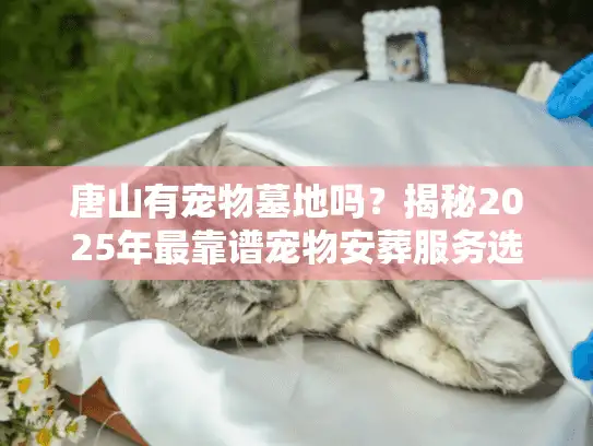 唐山有宠物墓地吗？揭秘2025年最靠谱宠物安葬服务选择策略