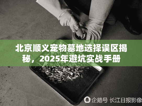 北京顺义宠物墓地选择误区揭秘，2025年避坑实战手册