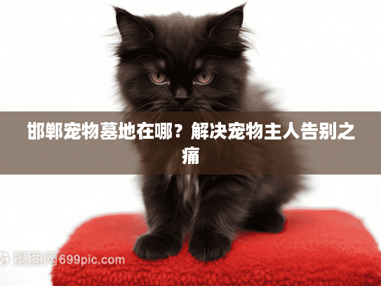 邯郸宠物墓地在哪？解决宠物主人告别之痛