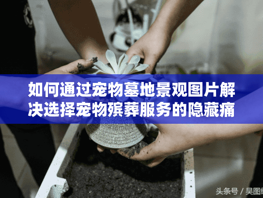 如何通过宠物墓地景观图片解决选择宠物殡葬服务的隐藏痛点？