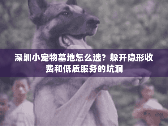 深圳小宠物墓地怎么选？躲开隐形收费和低质服务的坑洞