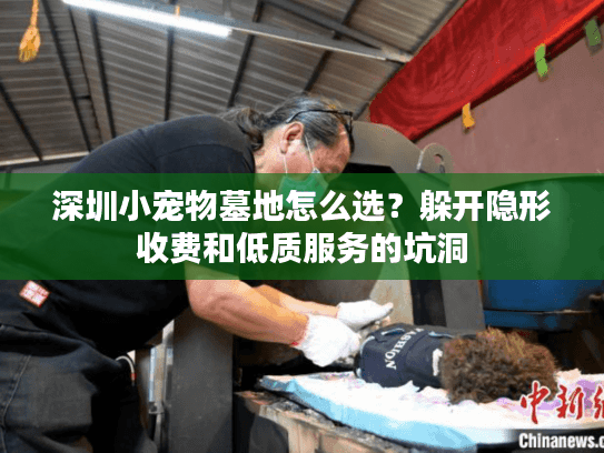 深圳小宠物墓地怎么选？躲开隐形收费和低质服务的坑洞