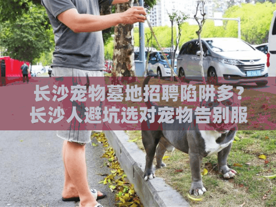 长沙宠物墓地招聘陷阱多？长沙人避坑选对宠物告别服务攻略