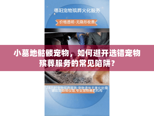 小墓地骷髅宠物,如何避开选错宠物殡葬服务的常见陷阱? 小墓地骷髅宠物,如何避开选错宠物殡葬服务的常见陷阱?