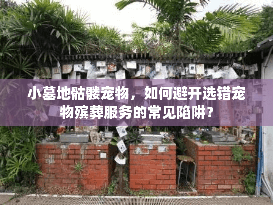 小墓地骷髅宠物,如何避开选错宠物殡葬服务的常见陷阱? 小墓地骷髅宠物,如何避开选错宠物殡葬服务的常见陷阱?