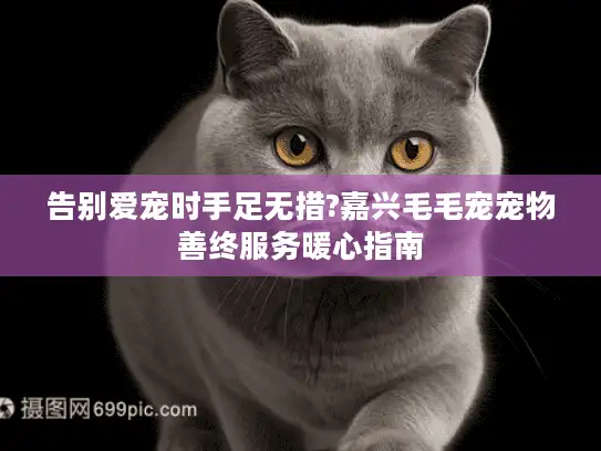 告别爱宠时手足无措?嘉兴毛毛宠宠物善终服务暖心指南