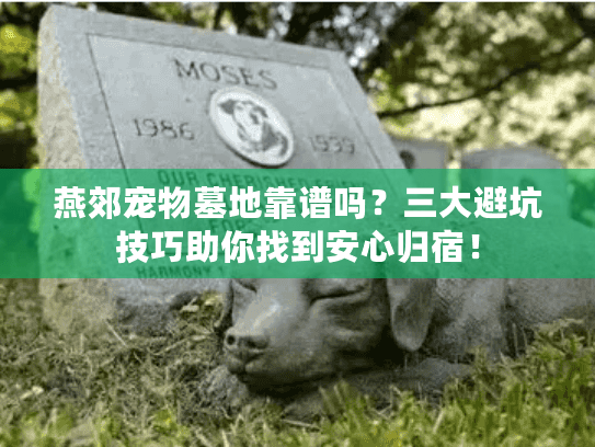 燕郊宠物墓地靠谱吗?三大避坑技巧助你找到安心归宿! 燕郊宠物墓地靠谱吗?三大避坑技巧助你找到安心归宿!