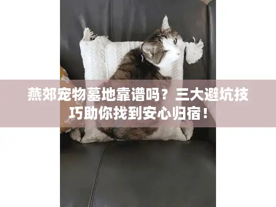 燕郊宠物墓地靠谱吗?三大避坑技巧助你找到安心归宿! 燕郊宠物墓地靠谱吗?三大避坑技巧助你找到安心归宿!