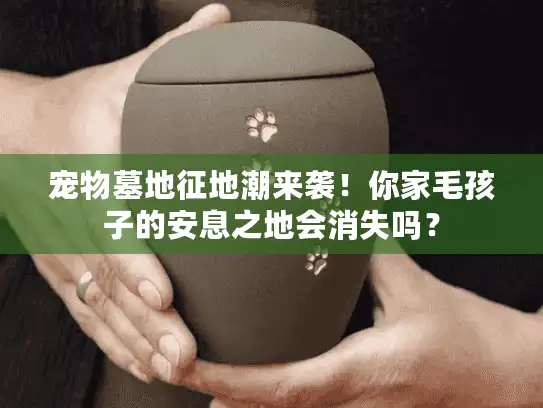 宠物墓地征地潮来袭！你家毛孩子的安息之地会消失吗？