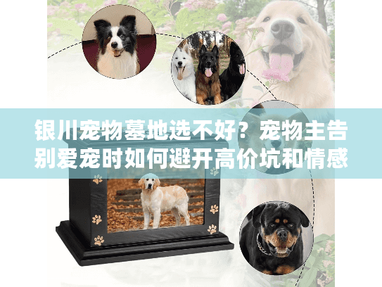 银川宠物墓地选不好？宠物主告别爱宠时如何避开高价坑和情感二次伤害？