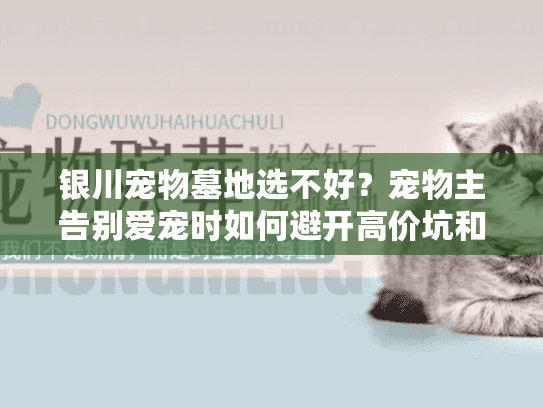 银川宠物墓地选不好？宠物主告别爱宠时如何避开高价坑和情感二次伤害？