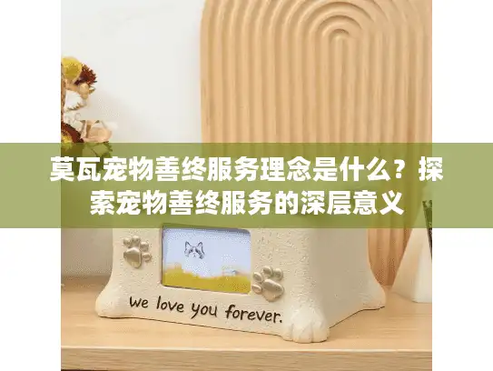 莫瓦宠物善终服务理念是什么?探索宠物善终服务的深层意义 莫瓦宠物善终服务理念是什么?探索宠物善终服务的深层意义