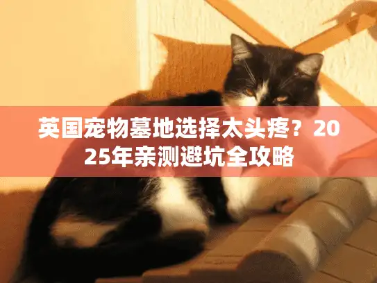 英国宠物墓地选择太头疼？2025年亲测避坑全攻略