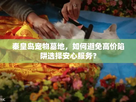 秦皇岛宠物墓地,如何避免高价陷阱选择安心服务? 秦皇岛宠物墓地,如何避免高价陷阱选择安心服务?