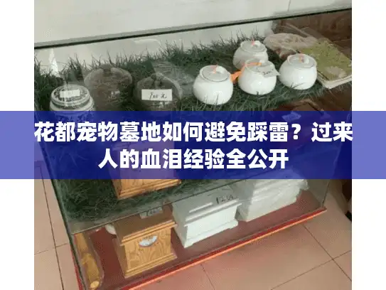 花都宠物墓地如何避免踩雷?过来人的血泪经验全公开 花都宠物墓地如何避免踩雷?过来人的血泪经验全公开