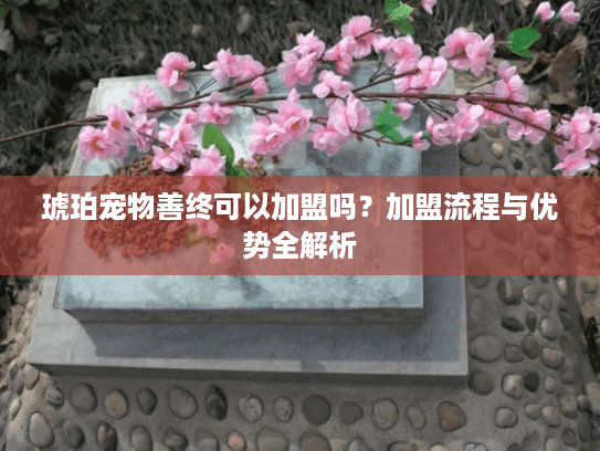 琥珀宠物善终可以加盟吗?加盟流程与优势全解析 琥珀宠物善终可以加盟吗?加盟流程与优势全解析