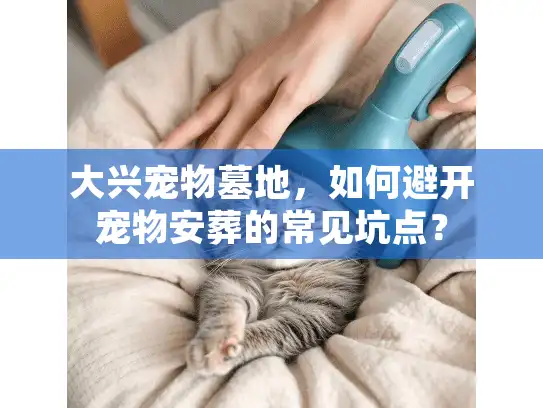 大兴宠物墓地,如何避开宠物安葬的常见坑点? 大兴宠物墓地,如何避开宠物安葬的常见坑点?