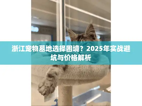 浙江宠物墓地选择困境?2025年实战避坑与价格解析 浙江宠物墓地选择困境?2025年实战避坑与价格解析