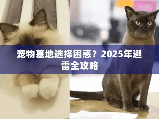 宠物墓地选择困惑?2025年避雷全攻略 宠物墓地选择困惑?2025年避雷全攻略