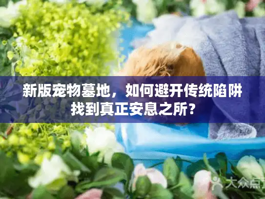 新版宠物墓地，如何避开传统陷阱找到真正安息之所？