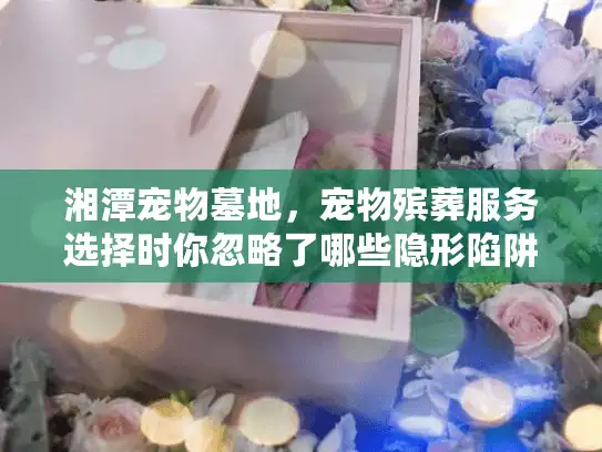 湘潭宠物墓地，宠物殡葬服务选择时你忽略了哪些隐形陷阱？巧妙避坑攻略