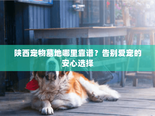 陕西宠物墓地哪里靠谱?告别爱宠的安心选择 陕西宠物墓地哪里靠谱?告别爱宠的安心选择