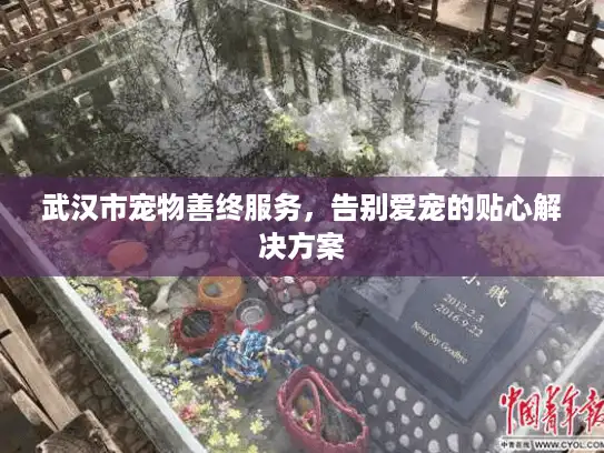 武汉市宠物善终服务，告别爱宠的贴心解决方案
