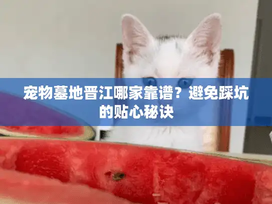 宠物墓地晋江哪家靠谱?避免踩坑的贴心秘诀 宠物墓地晋江哪家靠谱?避免踩坑的贴心秘诀