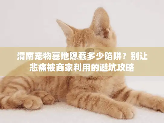 渭南宠物墓地隐藏多少陷阱?别让悲痛被商家利用的避坑攻略 渭南宠物墓地隐藏多少陷阱?别让悲痛被商家利用的避坑攻略