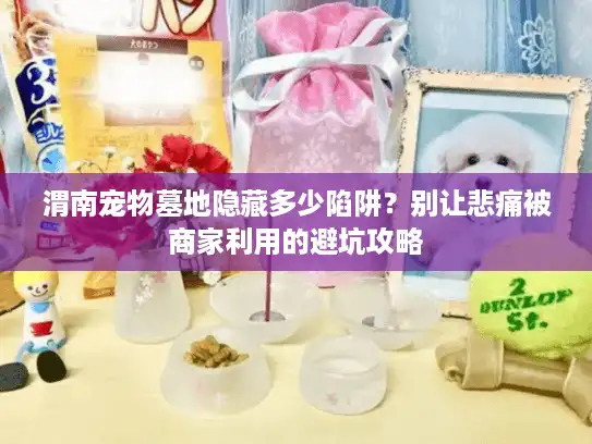 渭南宠物墓地隐藏多少陷阱?别让悲痛被商家利用的避坑攻略 渭南宠物墓地隐藏多少陷阱?别让悲痛被商家利用的避坑攻略