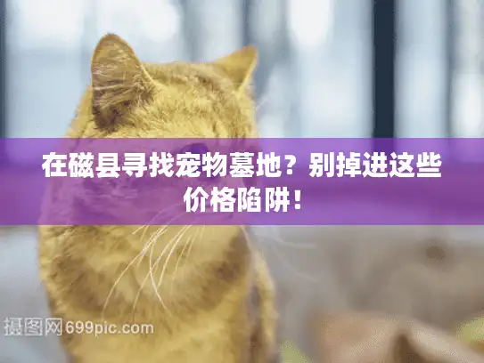 在磁县寻找宠物墓地？别掉进这些价格陷阱！