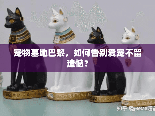 宠物墓地巴黎，如何告别爱宠不留遗憾？