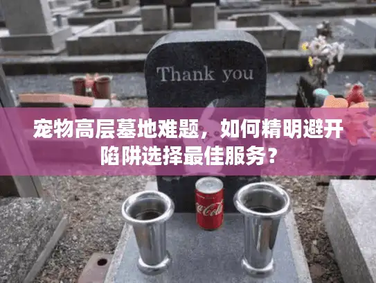 宠物高层墓地难题，如何精明避开陷阱选择最佳服务？