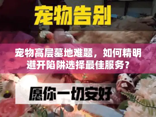 宠物高层墓地难题，如何精明避开陷阱选择最佳服务？