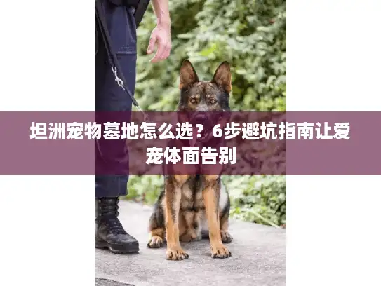 坦洲宠物墓地怎么选？6步避坑指南让爱宠体面告别